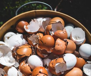 Read more about the article Latest Food Waste Compost Law Awaits Upgrade Protocols