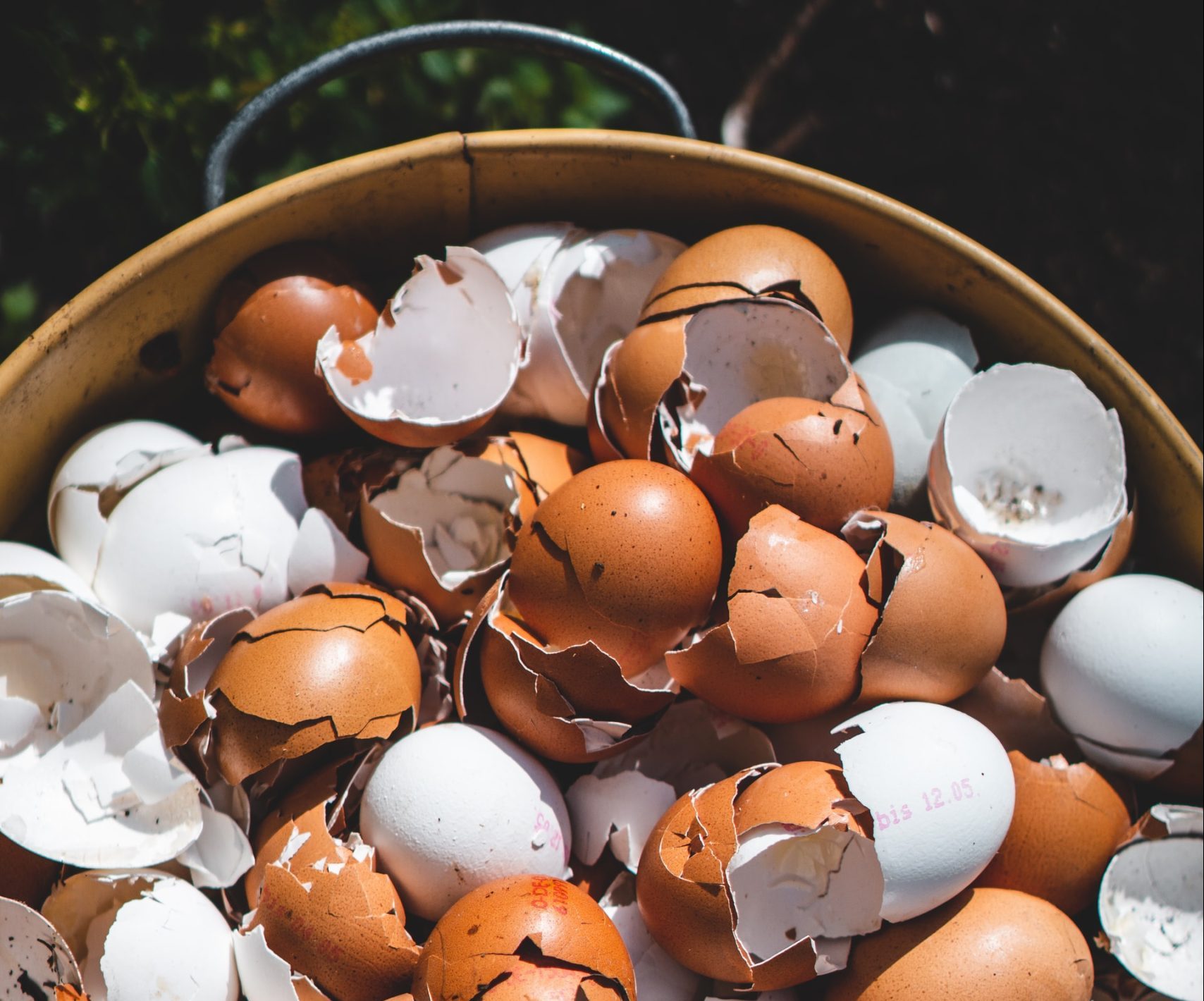You are currently viewing Latest Food Waste Compost Law Awaits Upgrade Protocols